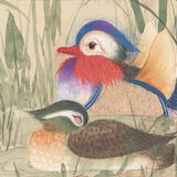 Mandarin Ducks Painting