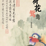 Mandarin Ducks Painting