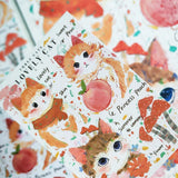 Three Orange Cats