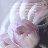 Blossoming Alone 盛开