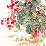 Autumn Begonia Blossoms