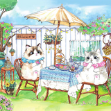 Afternoon Tea